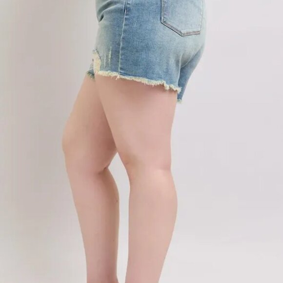 Judy Blue Plus Size High Rise Washed Fly Stitch Detail and Destroy Denim Shorts - Picture 3 of 9